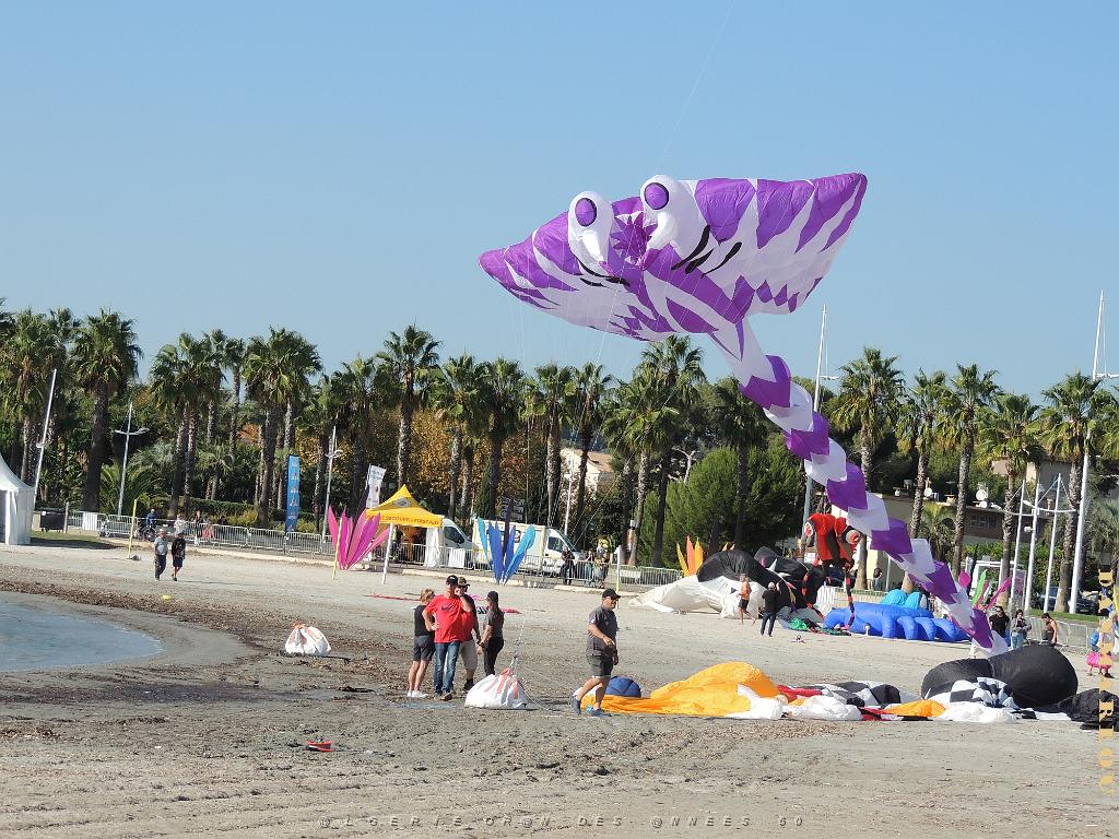 2024 11 02 EN FLANANT SUR SANARY (105).jpg